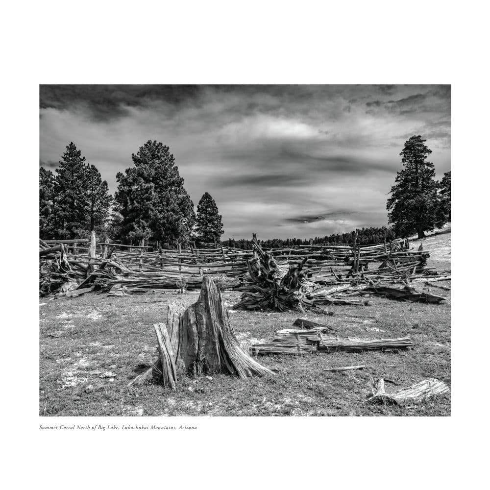 Lands of the Navajo 2026 Wall Calendar Second Alternate Image