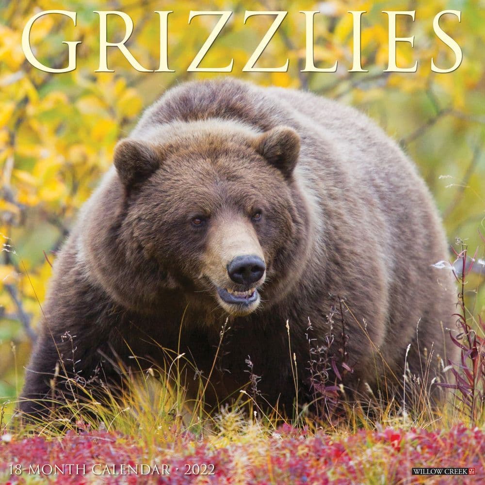 Grizzly Bears 2022 Wall Calendar