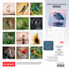 image Birds 2026 Wall Calendar First Alternate Image