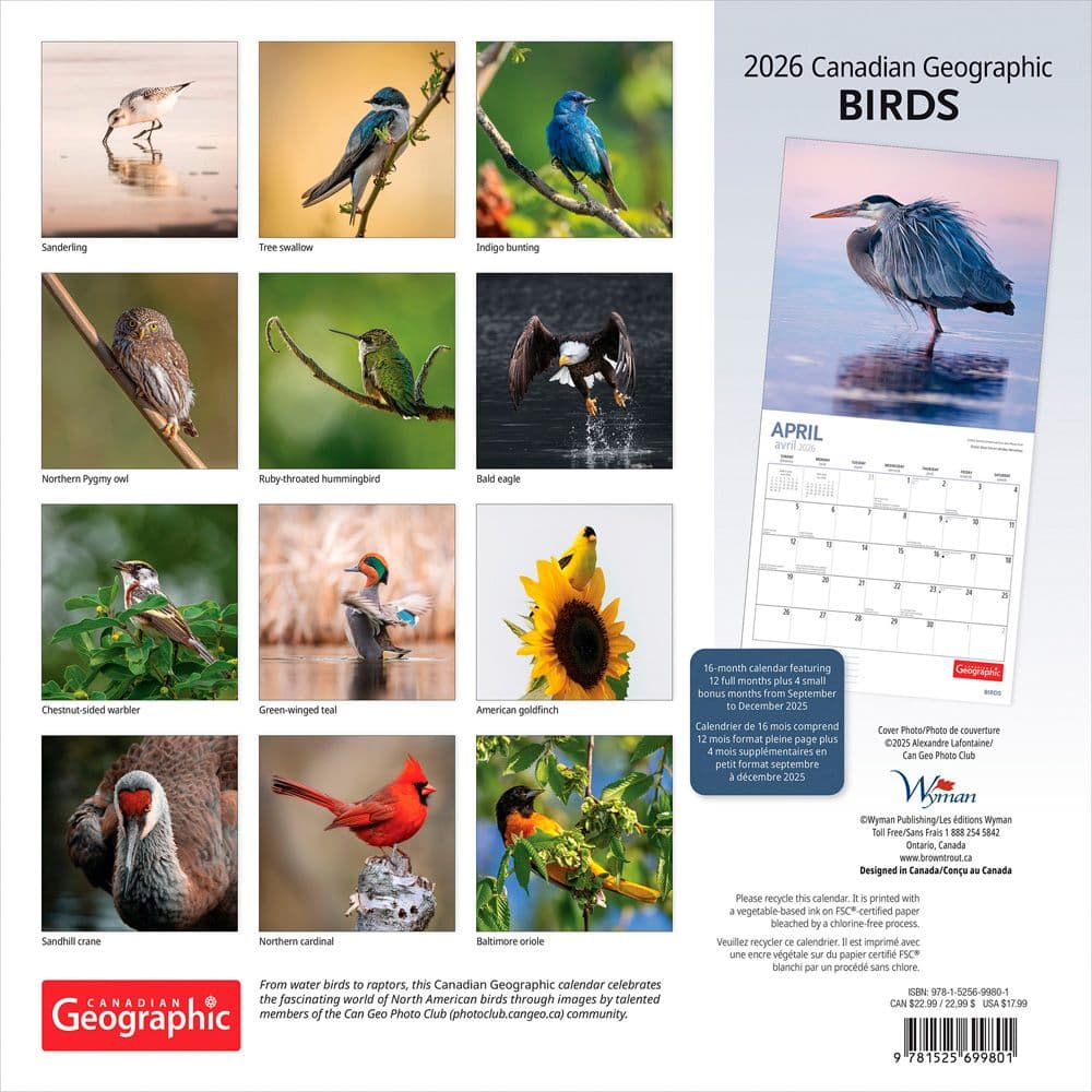 Birds 2026 Wall Calendar First Alternate Image