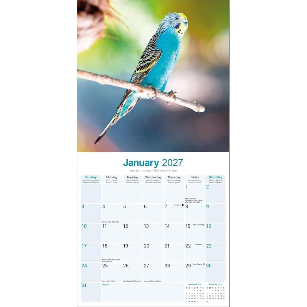 Budgerigar 2027 Wall Calendar Second Alternate Image