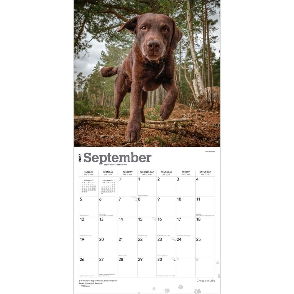 Chocolate Lab Retriever 2027 Wall Calendar Third Alternate Image