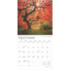 image Majesty of Trees 2025 Wall Calendar