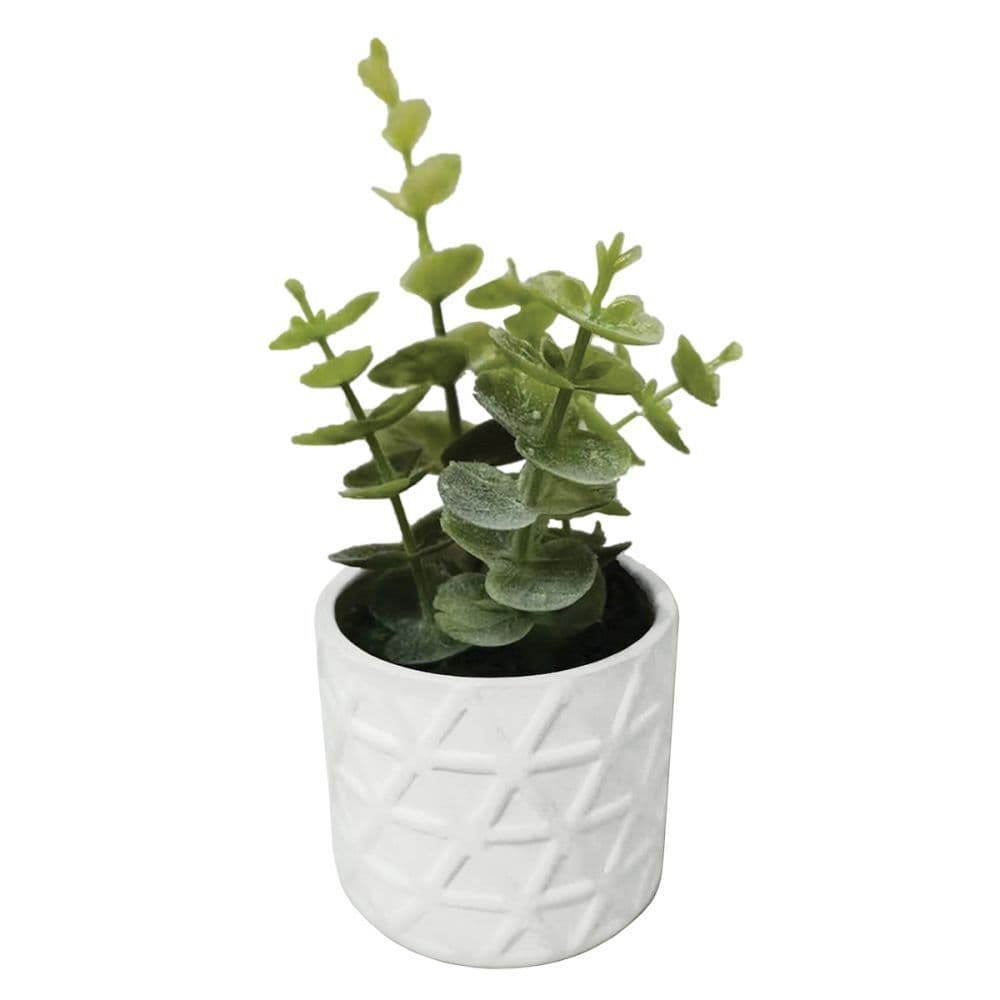 Greige Faux Succulent Plant