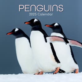 Penguins 2025 Wall Calendar
