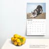 image Siberian Huskies Deluxe 2025 Wall Calendar Fourth Alternate Image