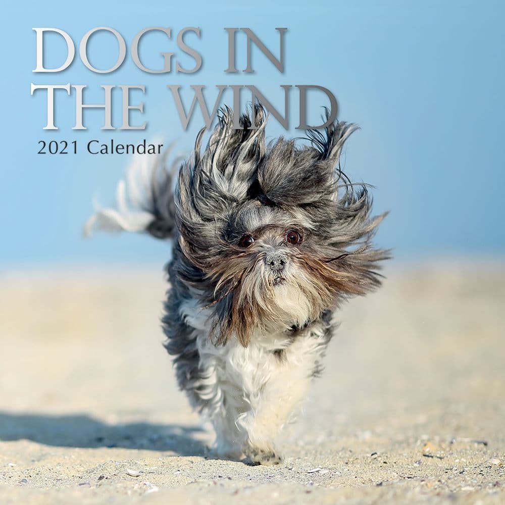 Funny Dogs 2021 Calendars Dog