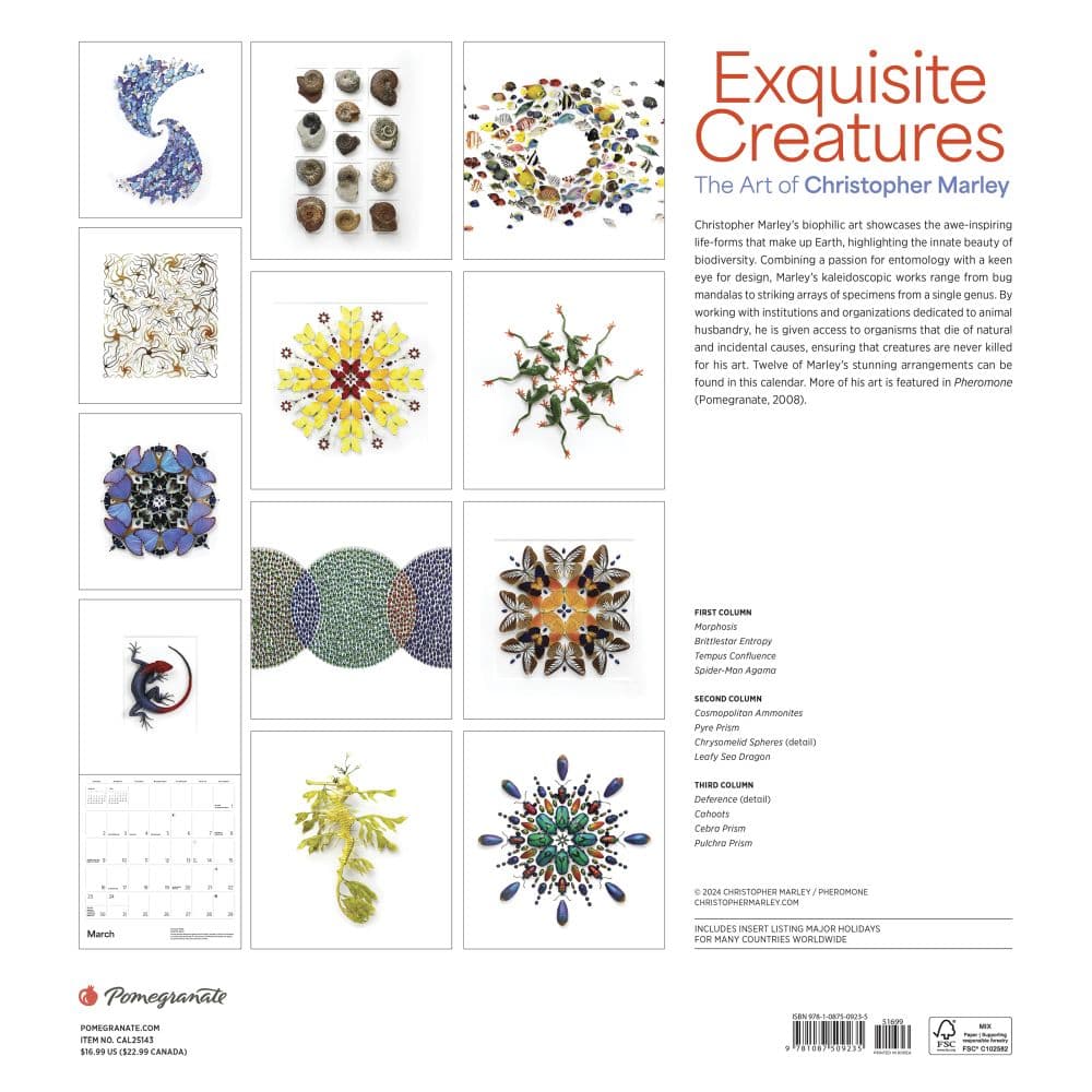 Exquisite Creatures 2025 Wall Calendar First Alternate Image width="1000" height="1000"