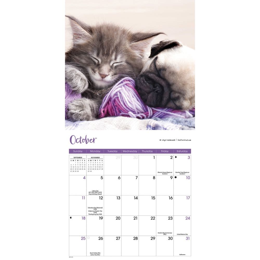 Kittens and Puppies 2026 Mini Wall Calendar Fourth Alternate Image
