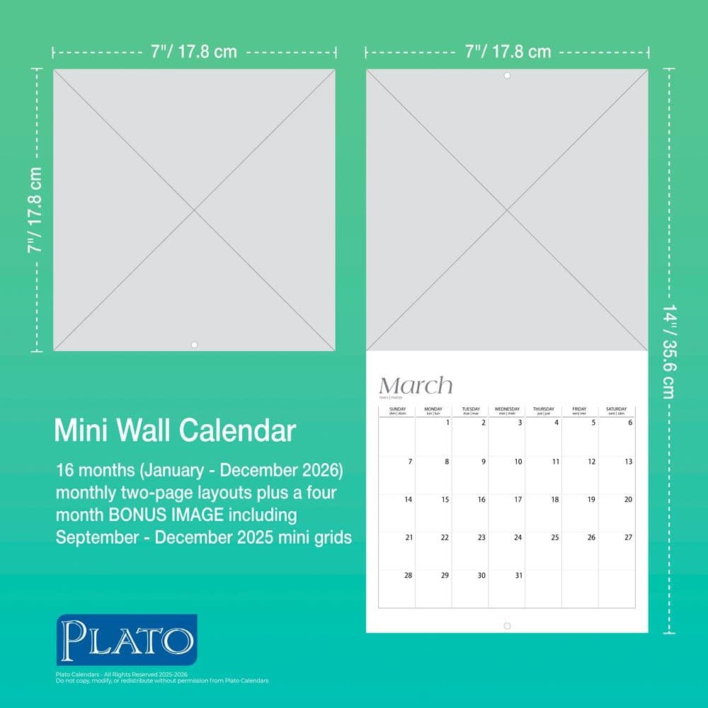 Yoga Puppies and Kittens 2026 Mini Wall Calendar Sixth Alternate Image