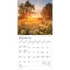 image Psalms 2026 Mini Wall Calendar