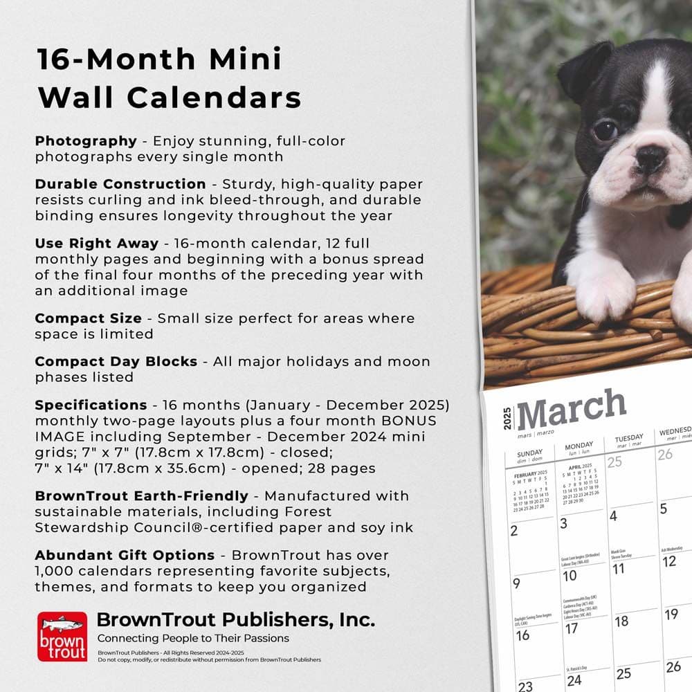 Boston Terrier Puppies 2025 Mini Wall Calendar Fifth Alternate Image width=&quot;1000&quot; height=&quot;1000&quot;