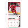 image NHL Detroit Red Wings 2025 Mini Wall Calendar