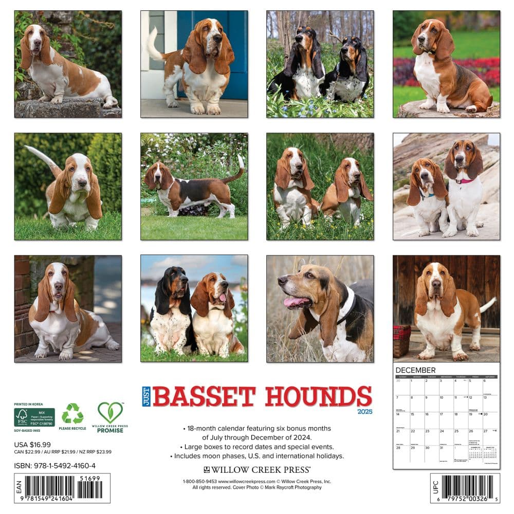 Just Basset Hounds 2025 Wall Calendar First Alternate Image width=&quot;1000&quot; height=&quot;1000&quot;