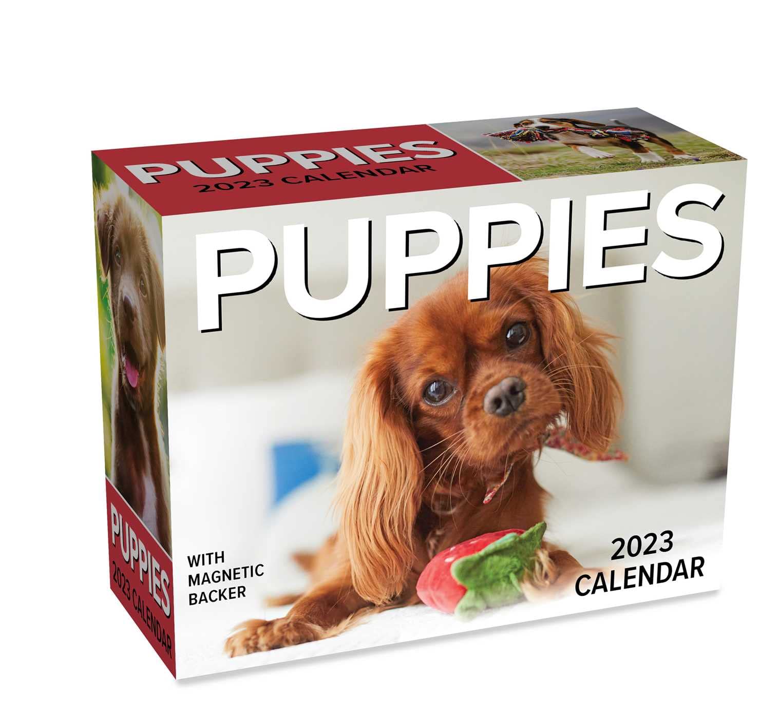 Dog Calendar 2023 Puppies 2023 Mini Desk Calendar