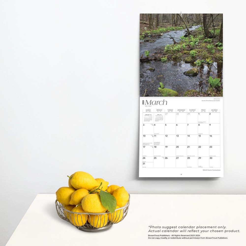 Connecticut Wild and Scenic 2024 Wall Calendar