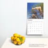 image Goats in Trees 2025 Wall Calendar Fourth Alternate Image