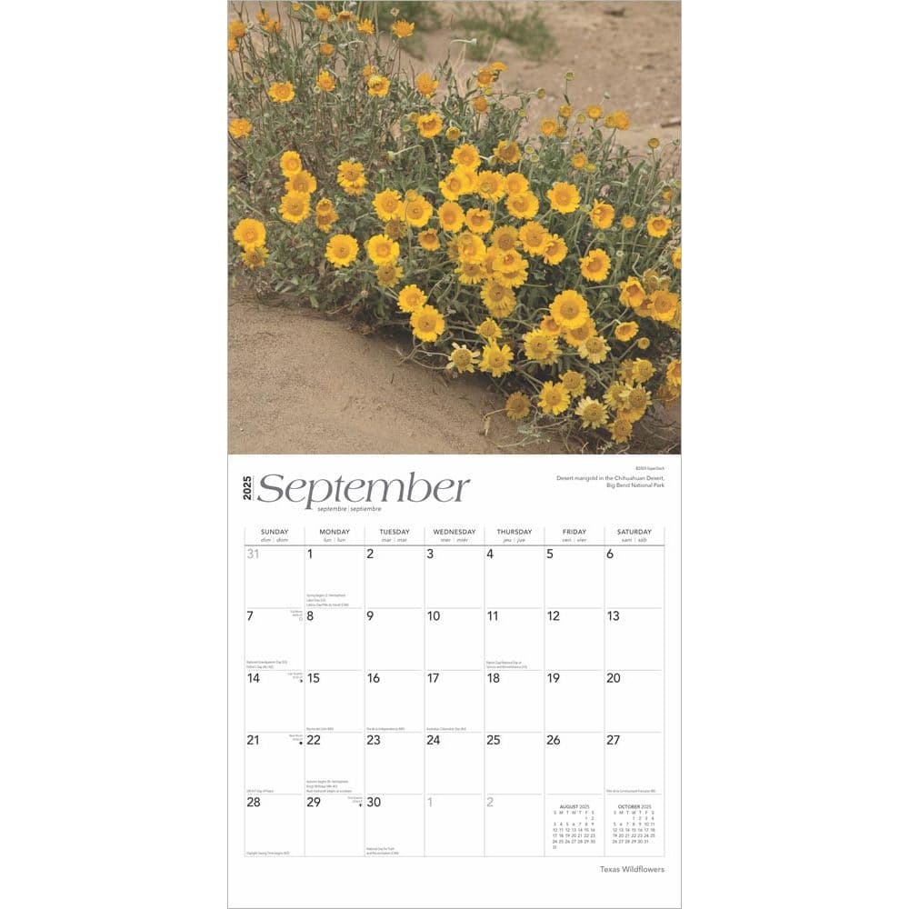 Texas Wildflowers 2025 Wall Calendar Third Alternate Image