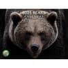 image Bears 2025 Wall Calendar Main Image