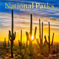 image National Parks Foil 2026 Mini Wall Calendar