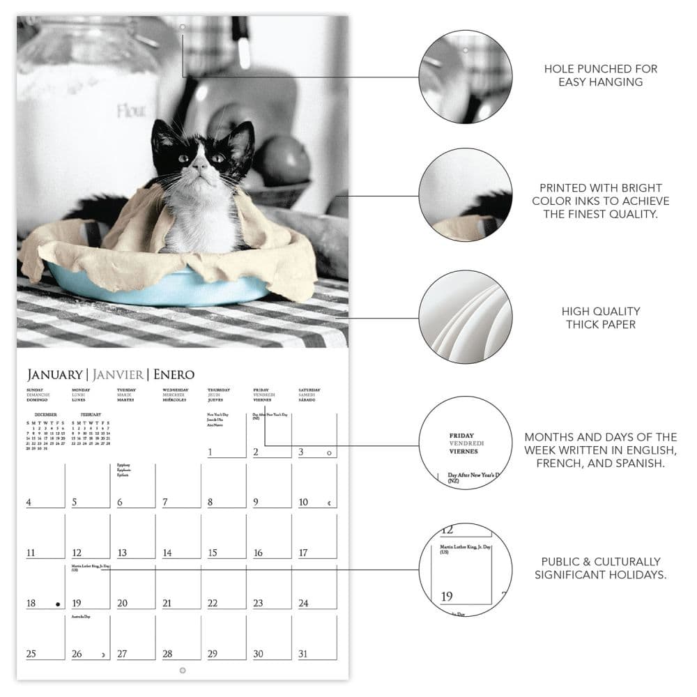 Classic Cats 2026 Mini Wall Calendar Second Alternate Image
