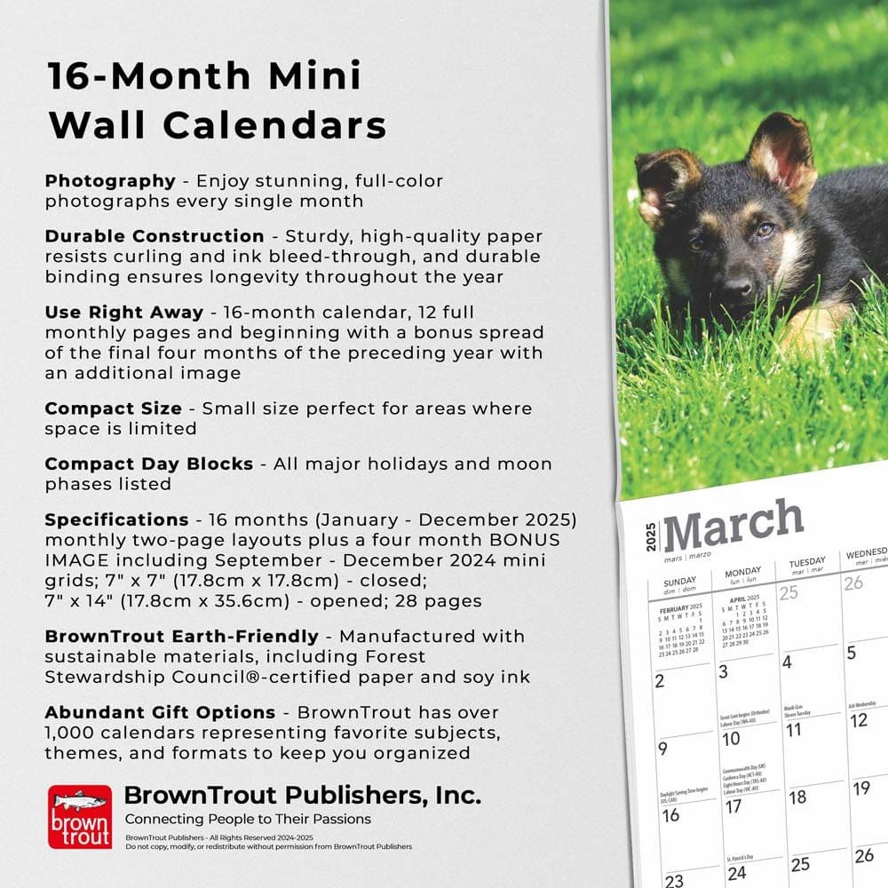 German Shepherd Puppies 2025 Mini Wall Calendar Fifh Alternate Image width=&quot;1000&quot; height=&quot;1000&quot;