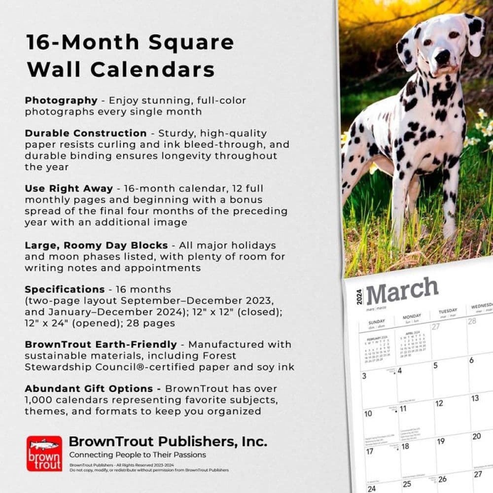 Dalmatians 2024 Wall Calendar Fourth Alternate Image width=&quot;1000&quot; height=&quot;1000&quot;