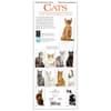 image Cats Vertical 2024 Wall Calendar First Alternate Image width=&quot;1000&quot; height=&quot;1000&quot;