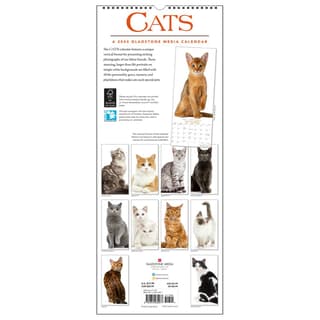 Cats 2024 Vertical Wall Calendar - Calendars.com