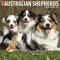 image Australian Shepherds Just 2026 Wall Calendar Main Image