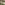 image Australian Shepherds Just 2026 Wall Calendar Main Image
