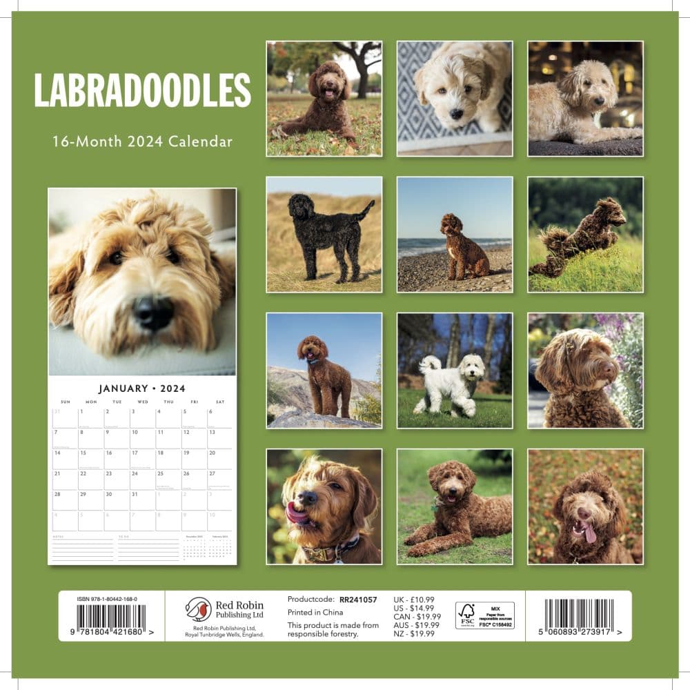 Labradoodles 2025 Wall Calendar