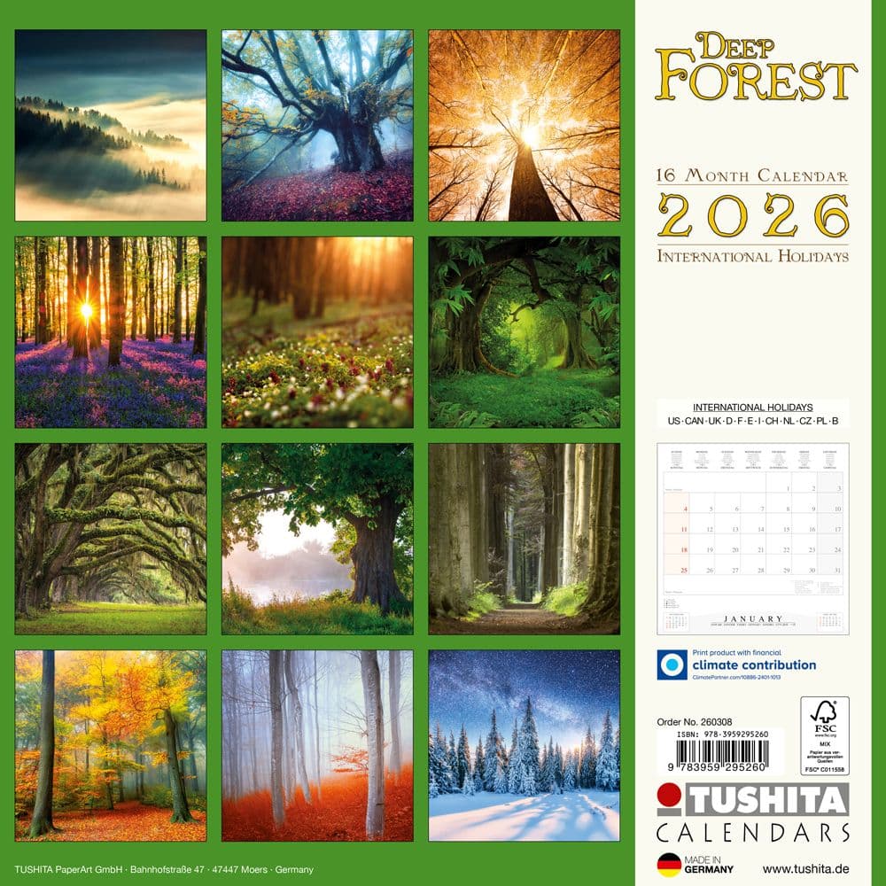 Deep Forest 2026 Wall Calendar First Alternate Image
