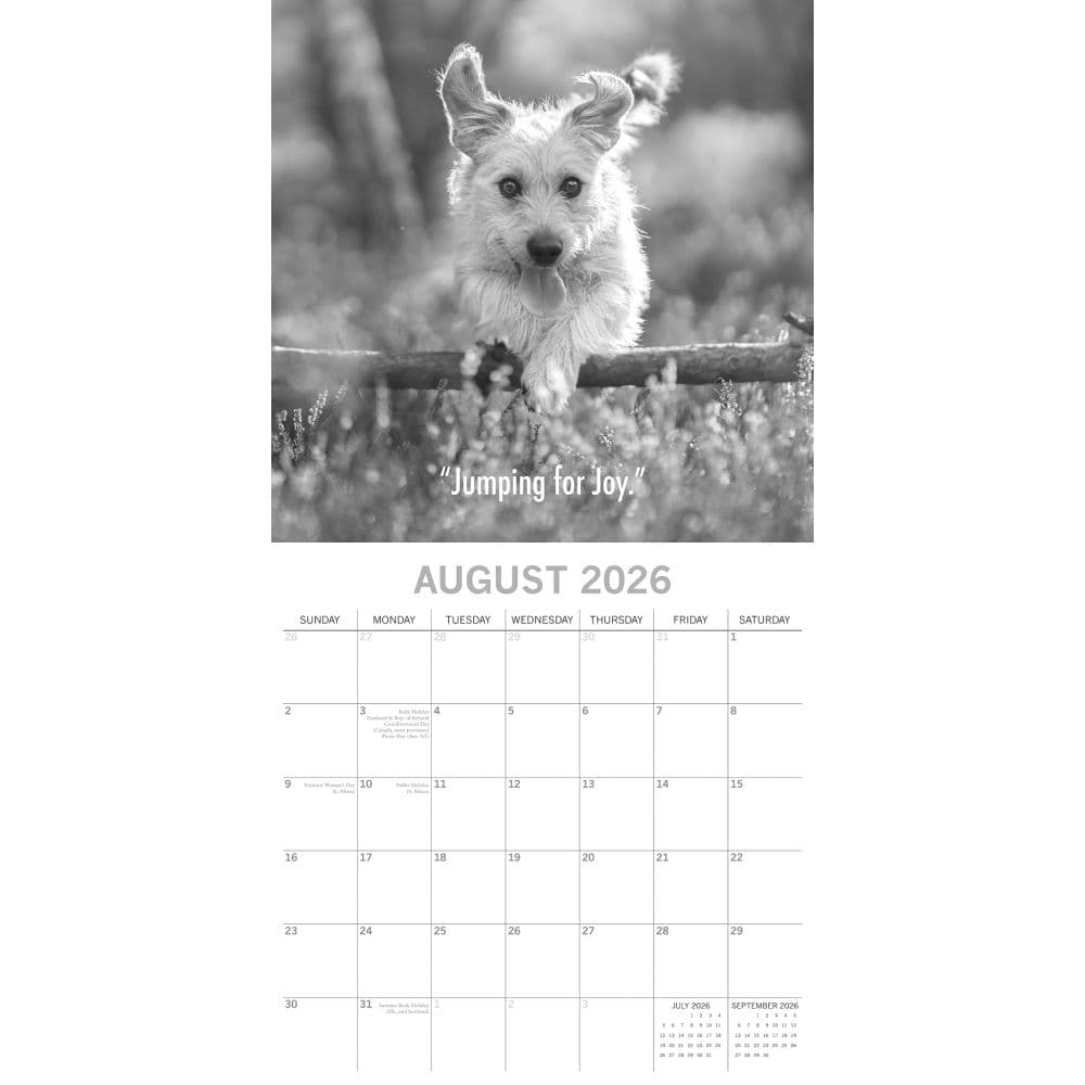 Mutts 2026 Wall Calendar Third Alternate Image