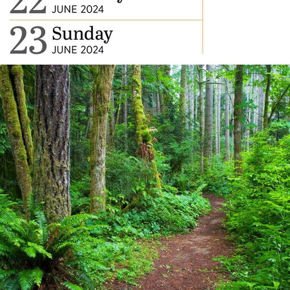 Audubon Nature Gallery 2024 Desk Calendar