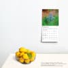 image Wildflowers 2024 Mini Wall Calendar Third Alternate Image width=&quot;1000&quot; height=&quot;1000&quot;