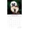 image Monkey Business 2024 Wall Calendar Third Alternate Image width=&quot;1000&quot; height=&quot;1000&quot;