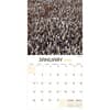 image Animals In Motion 2024 Wall Calendar Second Alternate Image width="1000" height="1000"