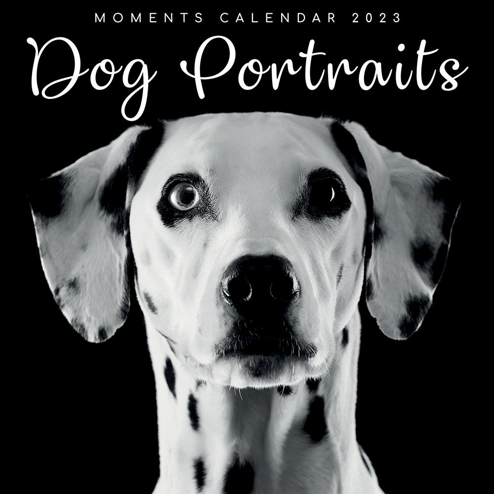 The Gifted Stationery Co Ltd Dog Portraits 2023 Wall Calendar