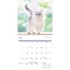 image Cats 2025 Wall Calendar Second Alternate Image width=&quot;1000&quot; height=&quot;1000&quot;