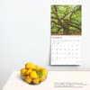 image Majesty of Trees 2025 Wall Calendar