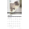 image Snapcats 2026 Wall Calendar Second Alternate Image