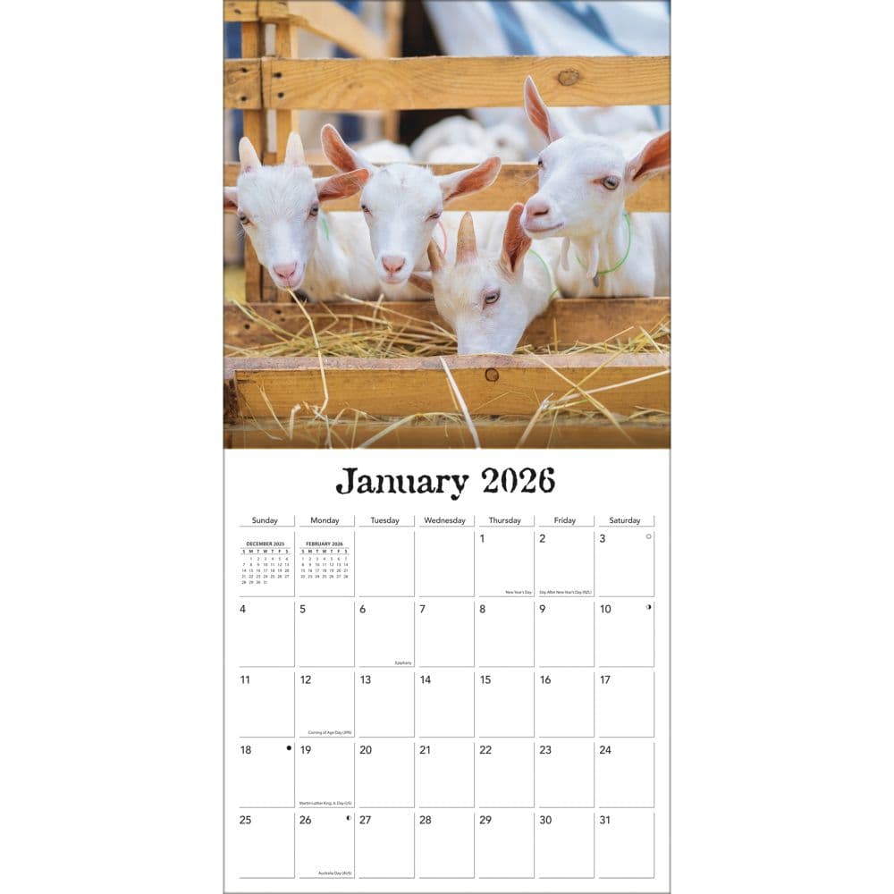 On The Farm 2026 Wall Calendar_ALT3