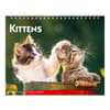 image Kittens 2026 Desk Calendar