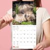 image Baby Animals 2025 Mini Wall Calendar March