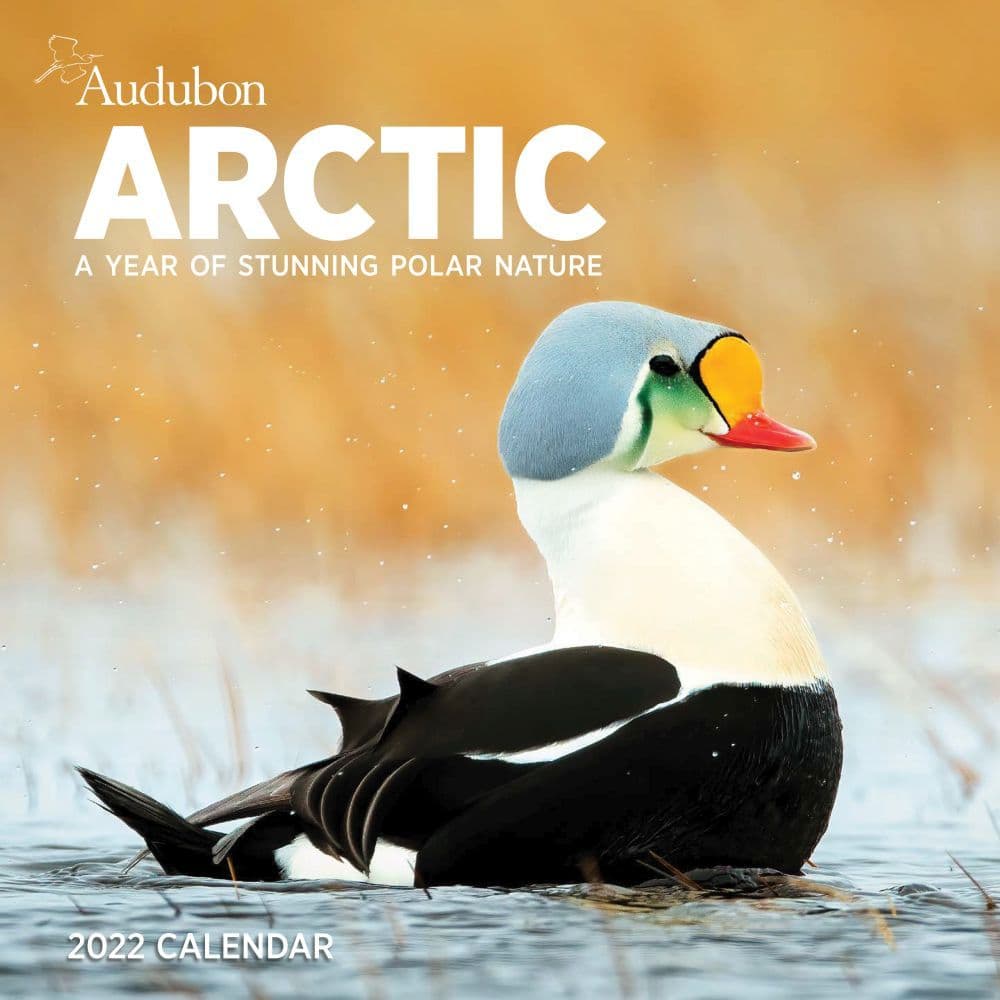 Audubon Arctic 2022 Wall Calendar