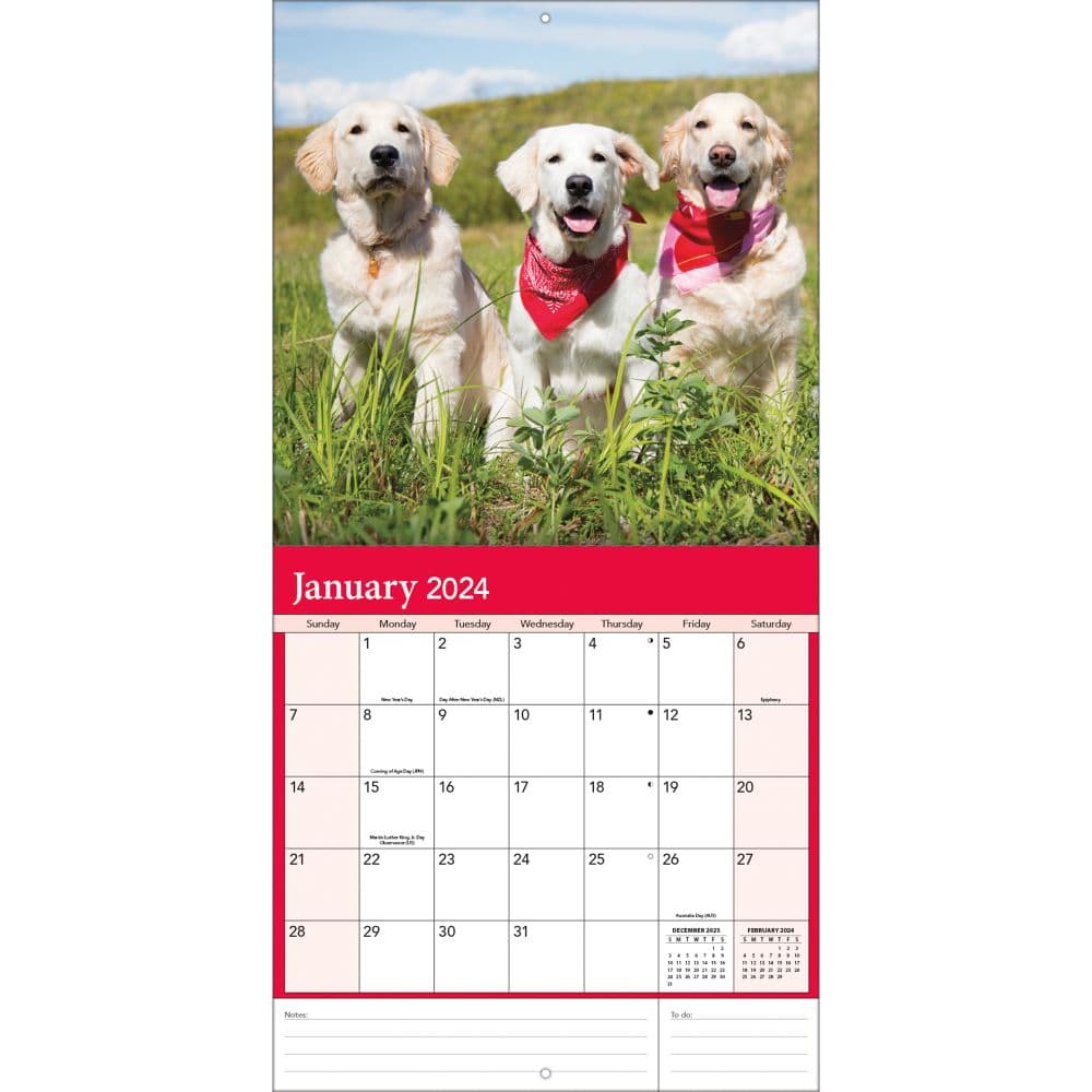 Golden Retrievers Photo 2024 Wall Calendar