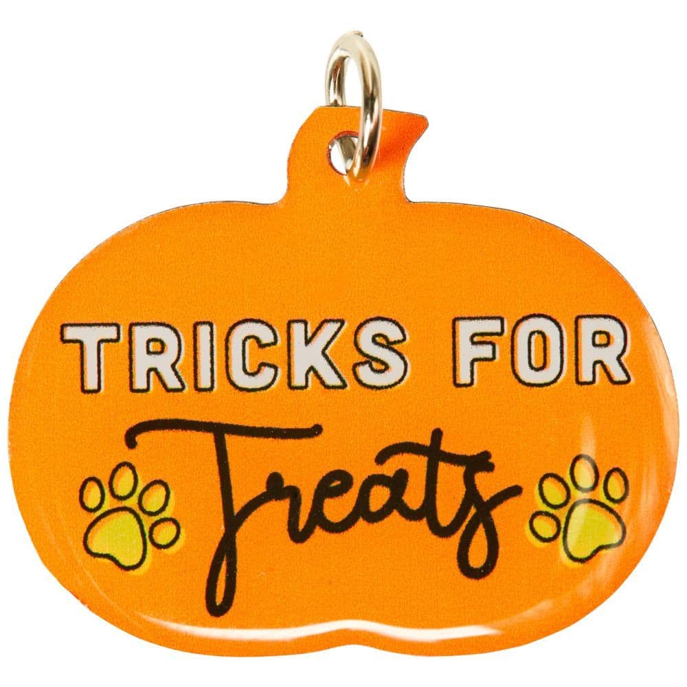 Tricks For Treats Pet Collar Charm Main Image