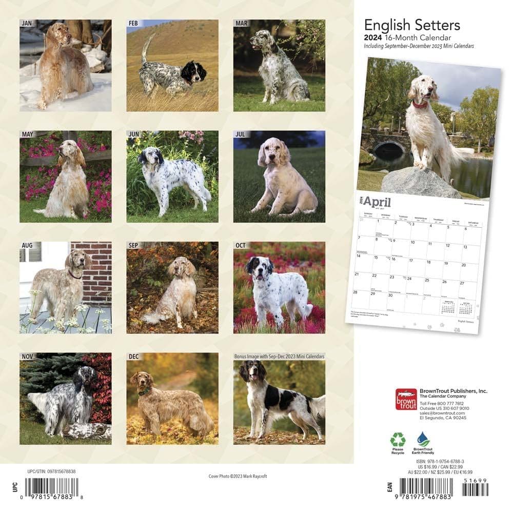 English Setters 2024 Wall Calendar First Alternate Image width=&quot;1000&quot; height=&quot;1000&quot;