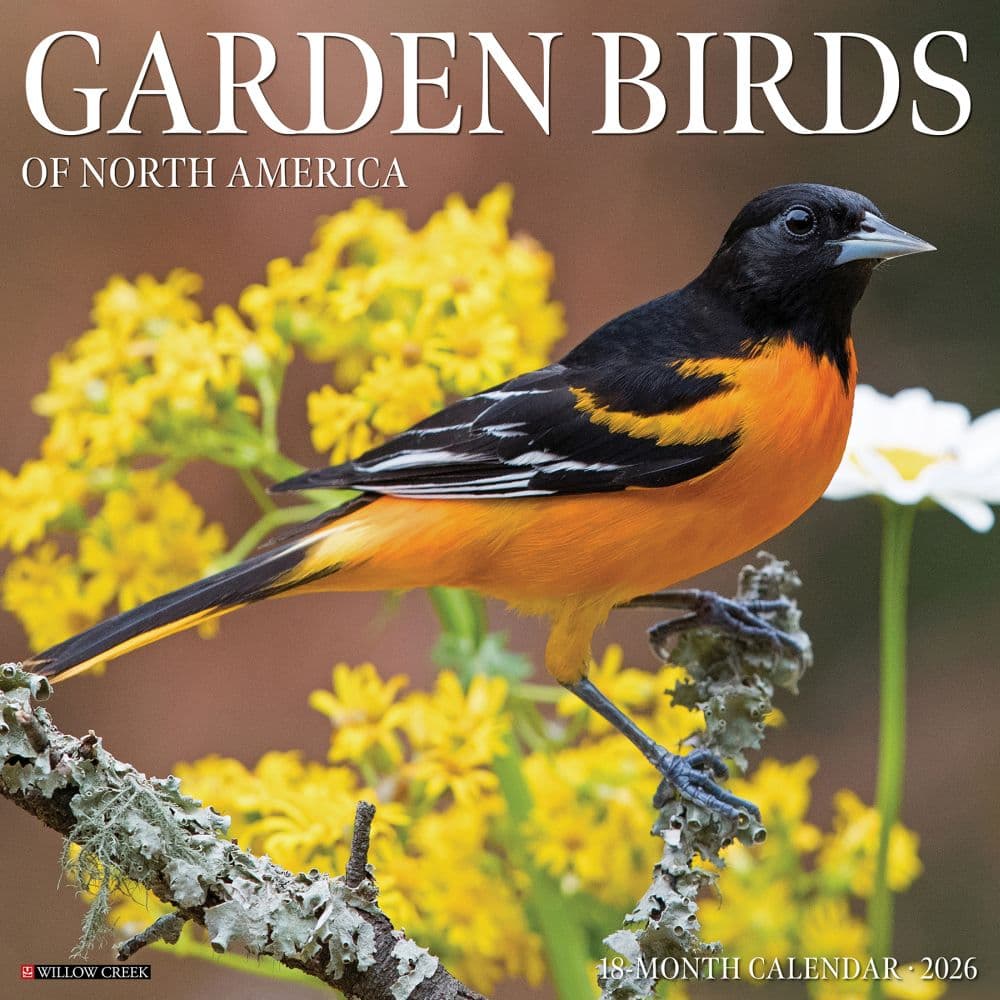 Garden Birds 2026 Wall Calendar Main Image